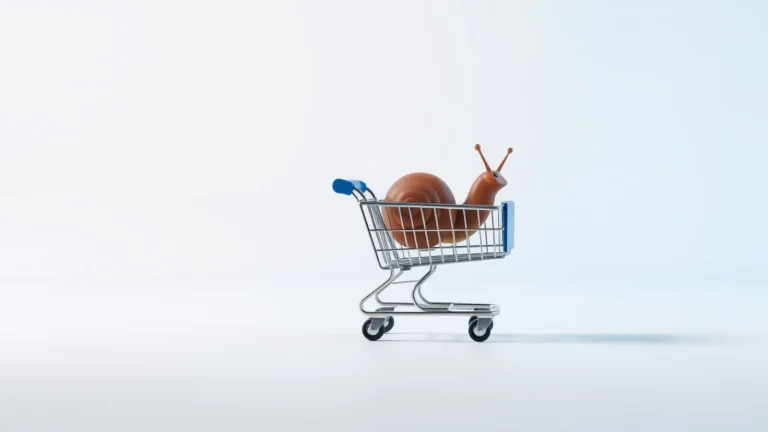 WooCommerce ช้า แก้อย่างไร